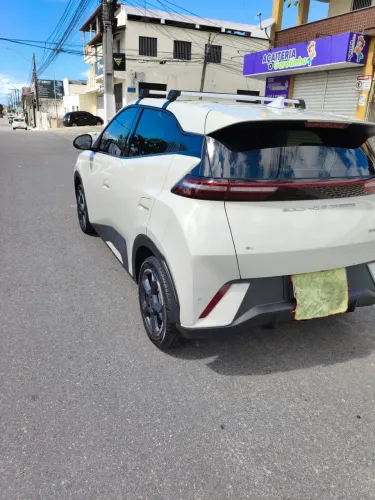 BYD Dolphin Mini (Elétrico) 2024
