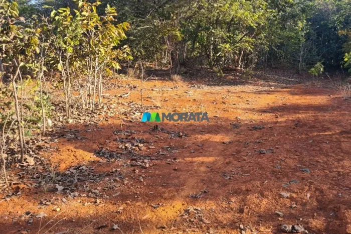 FAZENDA À VENDA - 193 HECTARES - INIMUTABA (MG)