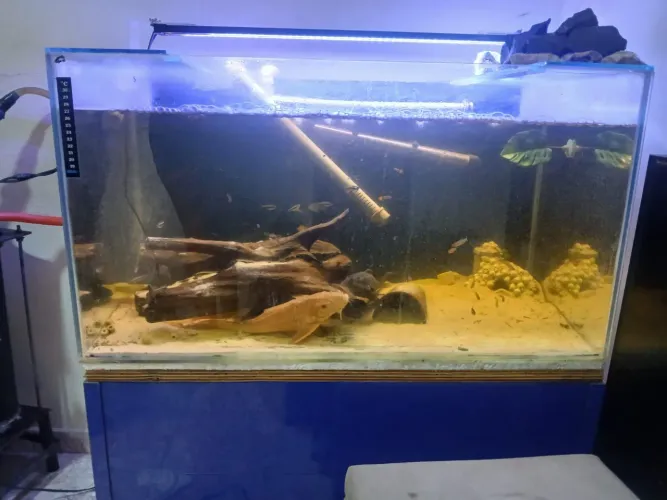 VENDO AQUÁRIO 150L 900,00