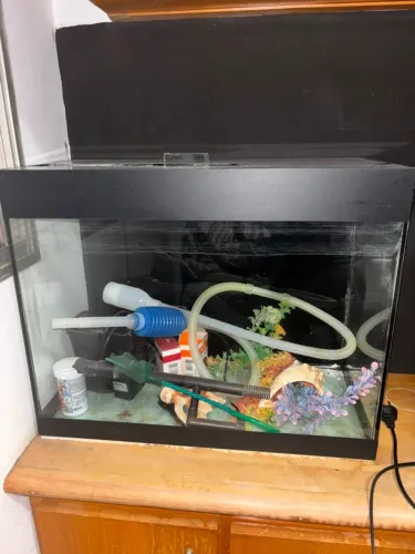 Aquário completo, 50L