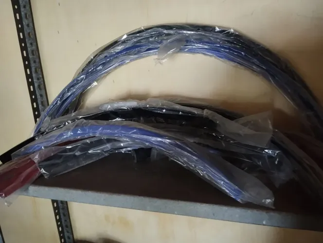 Paralamas pintados