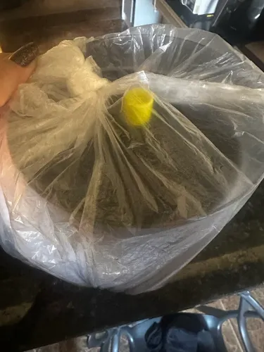 Jarra Tupper Weh de 2 l nova