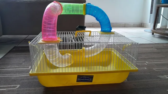 Kit para hamster completo!
