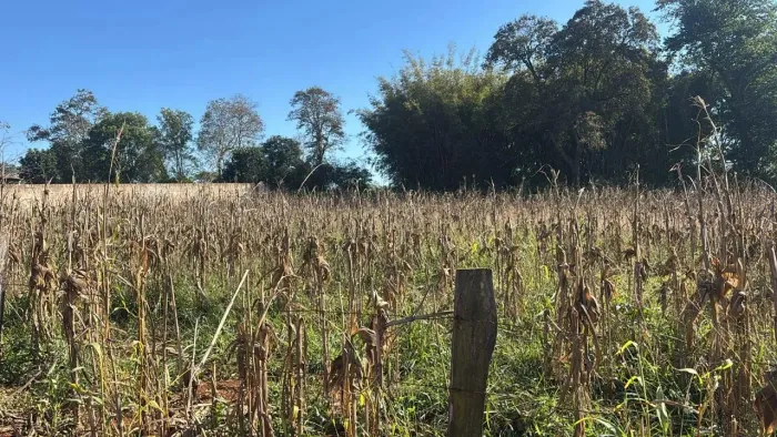 Ótimo terreno de 2.000m² em Cesário Lange - SP