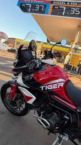 Tiger 900 Gt Aragon Edition