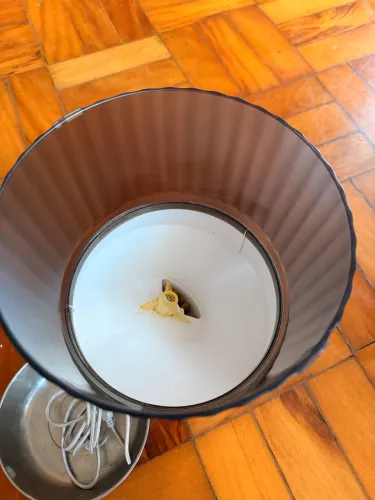 Comedouro automático
