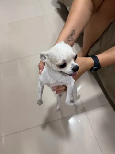 DOAÇÃO RESPONSÁVEL - ZOE