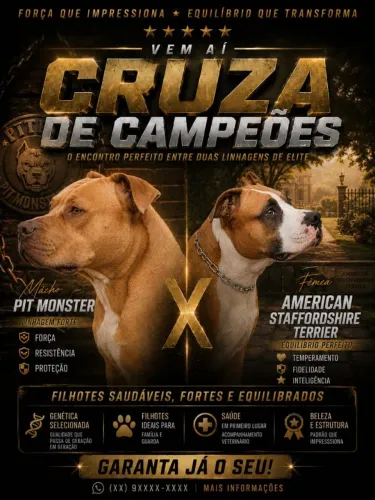 Filhotes de Pitbull