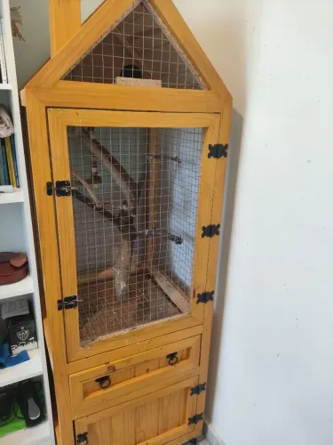Viveiro para aves 