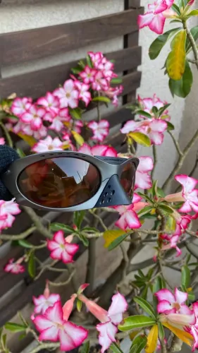 Óculos de Sol Plantaris Linha Premium ?