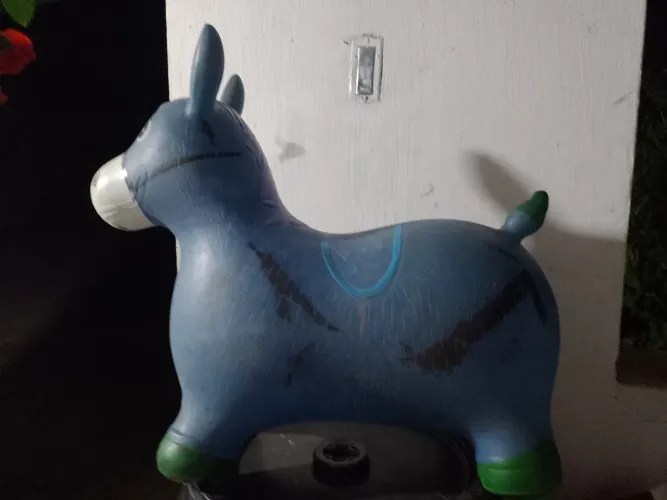 Cavalinho / cadeirinha de andar / banheira de banho