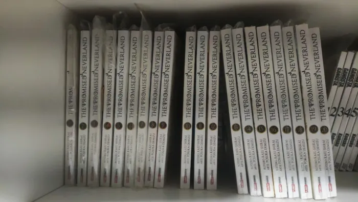 Promised Neverland Completo 