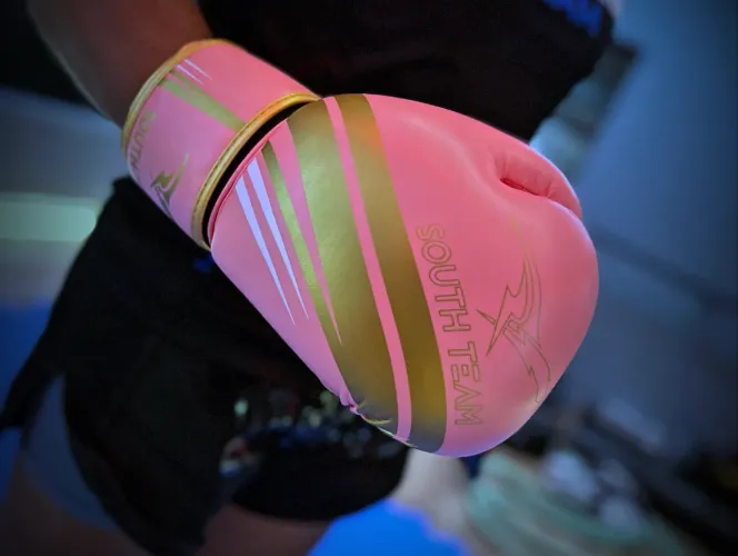 Luva de Boxe/Muay Thai/kickboxing dividimos em até 10x