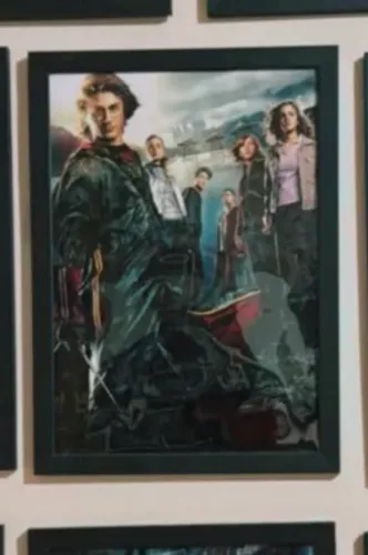 Quadro harry potter e o cálice de fogo
