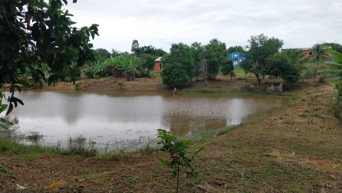 Chácara à Venda no Apolônio Sales - 2 Casas, Açude e Pomar Produzindo