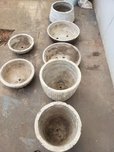 Vasos plantas *.