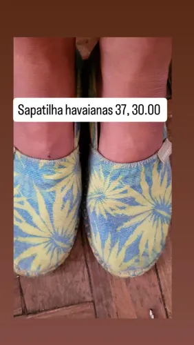 Havia nas alpagartas 37