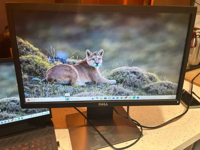 Monitor Dell Com regulagem ergonômica profissional P2421D