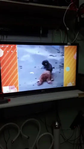 TV LG LCD 32P?