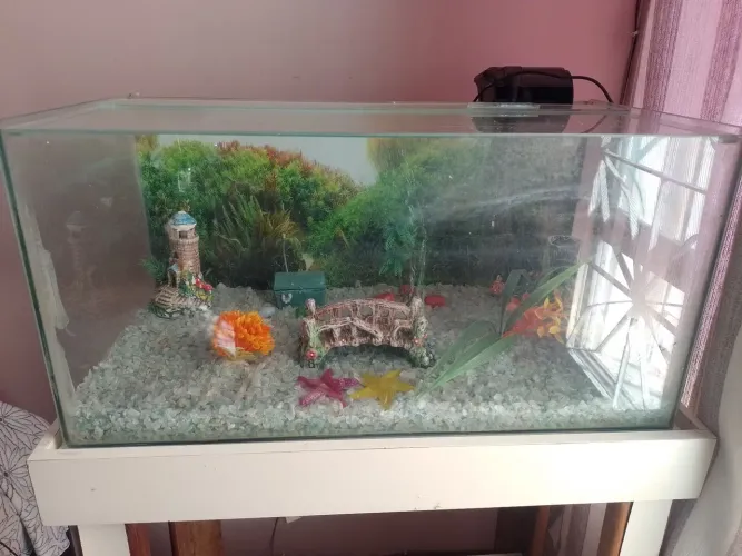Aquário para peixes, completo com a mesa e acessórios
