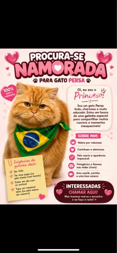 Animais de estimação