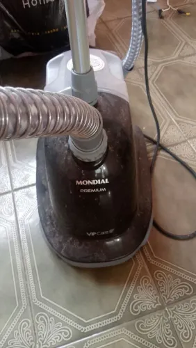 PASSADEIRA a vapor profissional!
