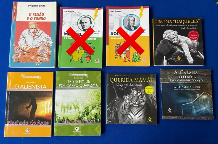Livros Seminovos