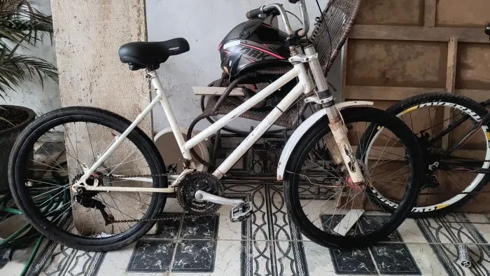 BIKE POTY 26