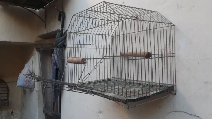 Vendo ótima gaiola de calopsita mansa. Barata