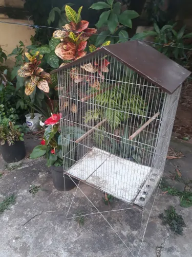 Vendo excelente viveiro com pé.  Barato