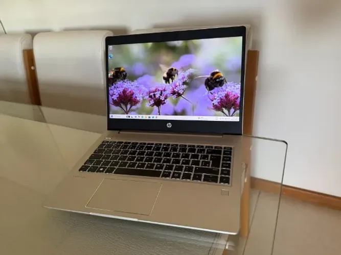 Notebook Probook HP 445 G7 , AMD Ryzen 5 4500U , 8gb ram , 256Gb SSD Radeon Biometria