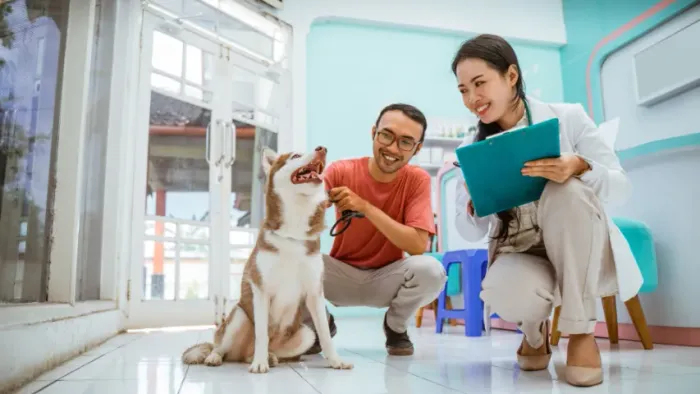 Clínica Veterinária e Pet Shop com Operação Estruturada à Venda