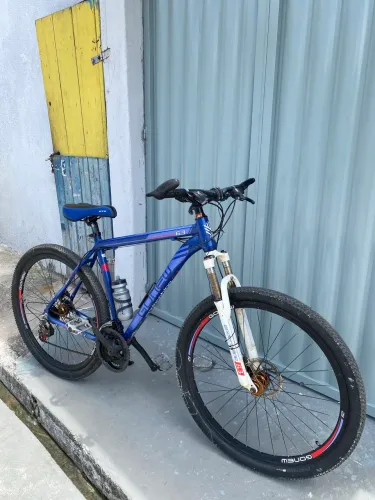 Bicicleta aro 29 Tm?21