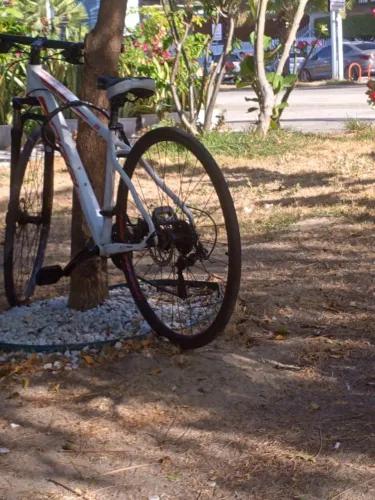 Bike aro 29