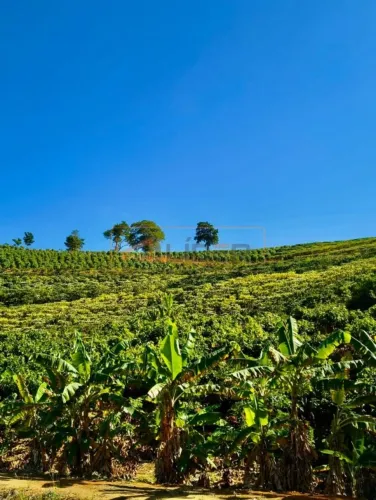 Vendo Terreno no Córrego Barbados