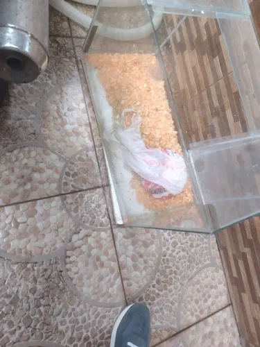 Aquário 80 litros