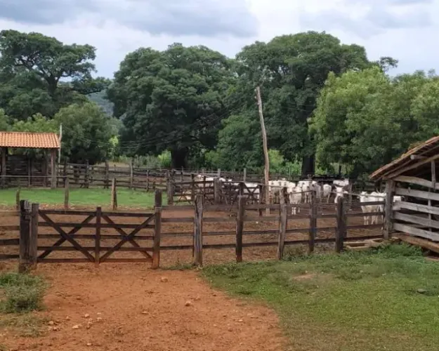Fazenda 1.512 há, casa sede e de caseiro, nascentes, com acesso ao rio cipó.