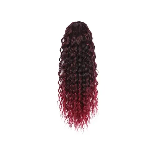 Rabo de Cavalo com Renda