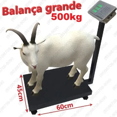 Balança Plataforma 500kg