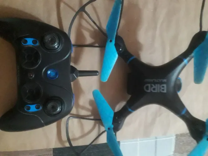 Drone Bird
