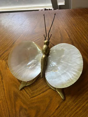 Borboleta Bronze e madrepérola