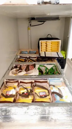 FÁBRICA DE MINI-PASTÉIS E MINI-SALGADOS EM ATIVIDADE À VENDA EM BH!