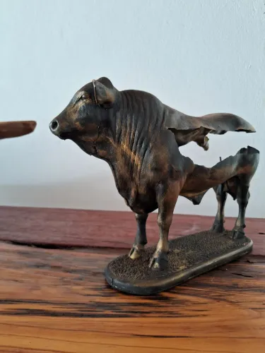 Escultura de Touro Angus em resina - Decoração Moderna