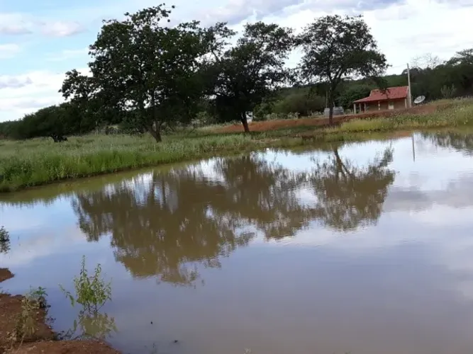 Fazenda em Petrolina/PE à Venda (FA0175-DV)