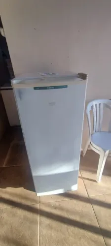Freezer Palito 