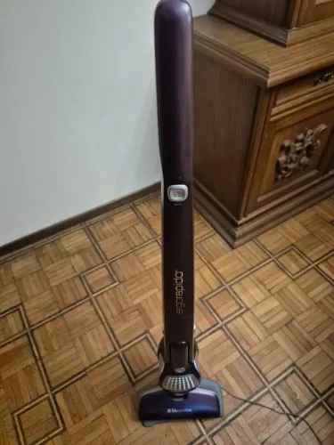 Aspirador Sem Fio Electrolux Ergorapido 2 em 1