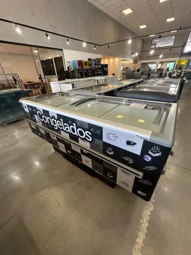 Ilha congelados 2M fricon 