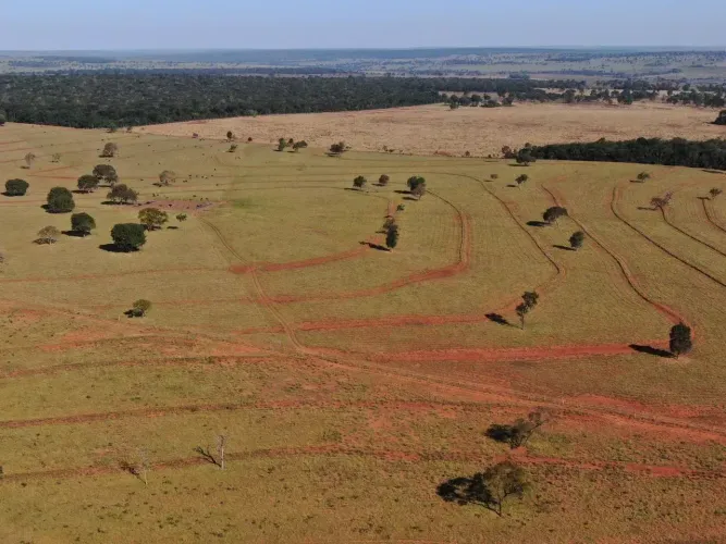 Fazenda  667 hectares  -sentido Ribas do Rio pardo