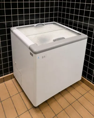 Freezer expositor