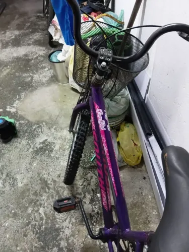 Bike aro 24